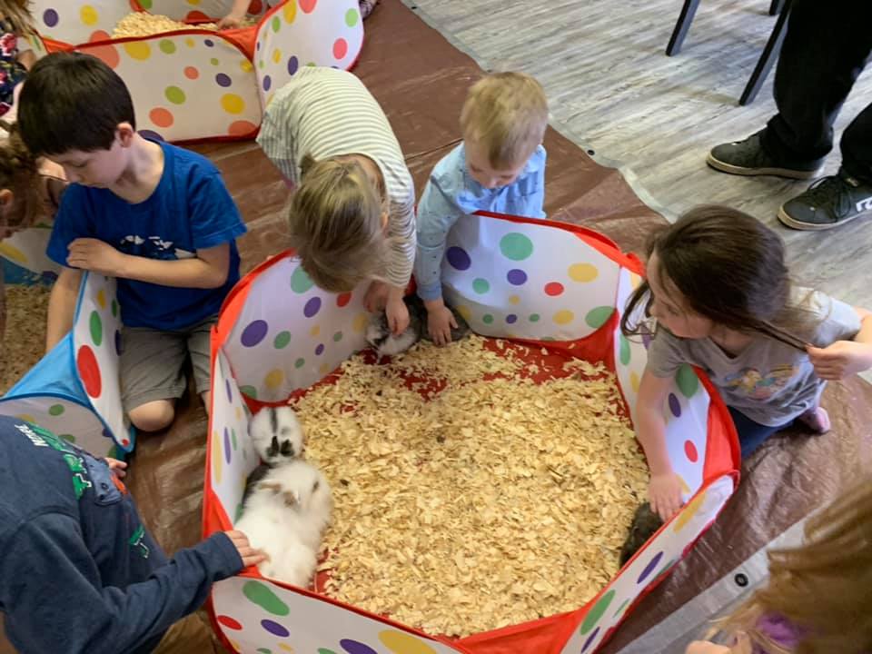 kids petting the rabbit at a daycare in East Auro, NY